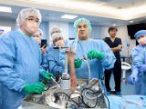 HK Wrist Course 2024 - Workshops  - 191 of 241.jpg